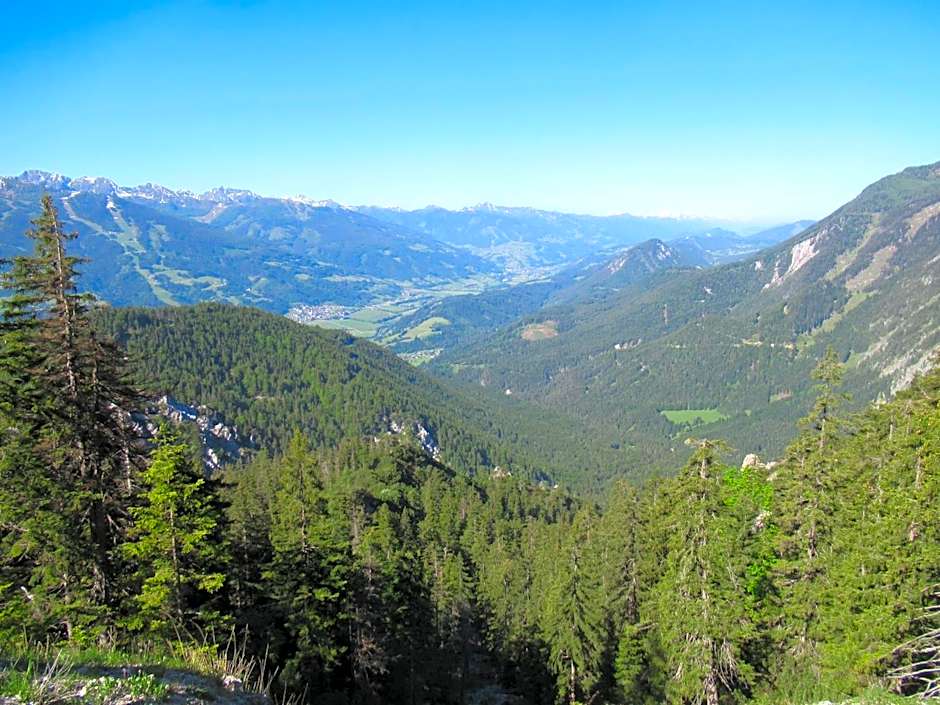 Steinerhaus Berggasthof
