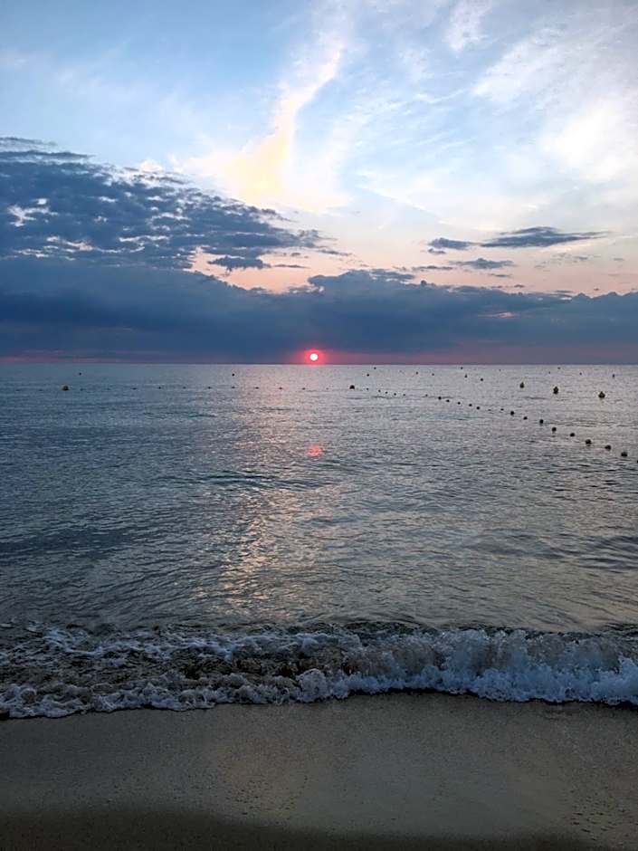Clos des Vignes Pampelonne Vineyard