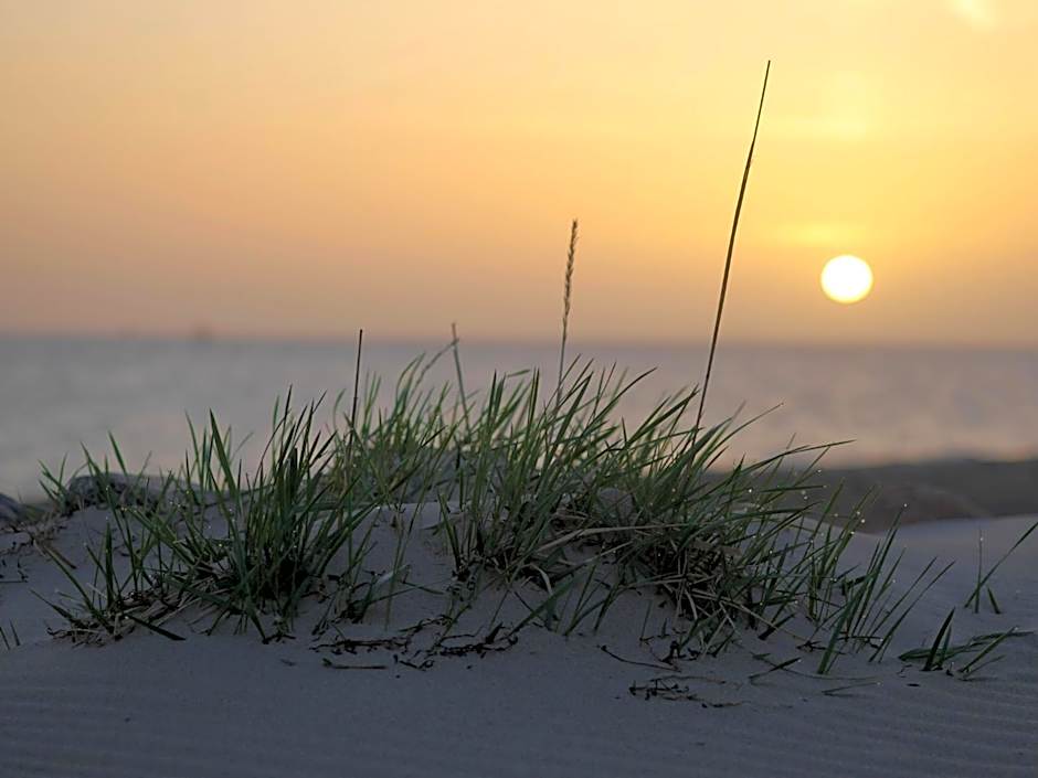 Lieblingsplatz Hotel Strandperle