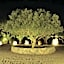 Albergo Residenziale Menhirs