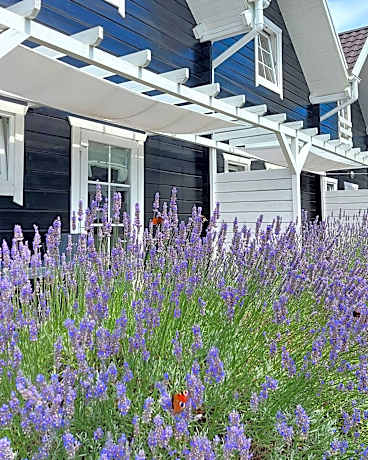 Bla Marine Domki nad Morzem