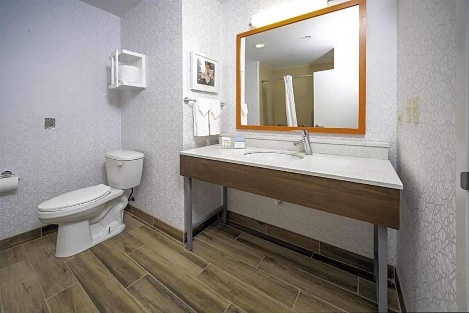 Hampton Inn By Hilton And Suites New Iberia