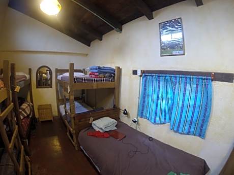 Bunk Bed in Mixed Dormitory Room