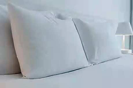 1 King Bed Deluxe Suite Non-Smoking