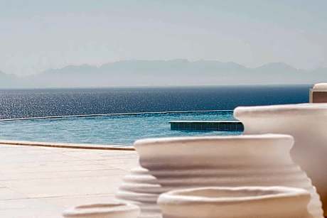 WHITE DONKEY BOUTIQUE Hotel