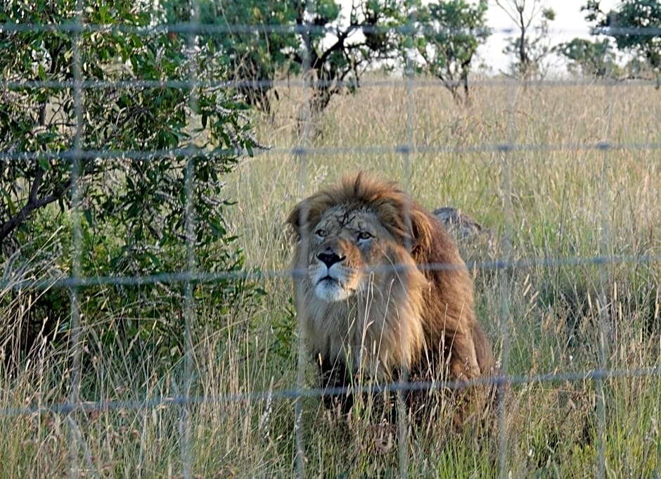 Schrikkloof Private Nature Reserve, home of The Lions Foundation