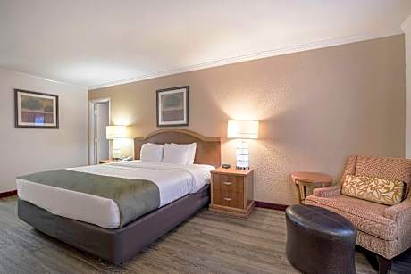 1 King Bed Suite Nonsmoking Upgrade