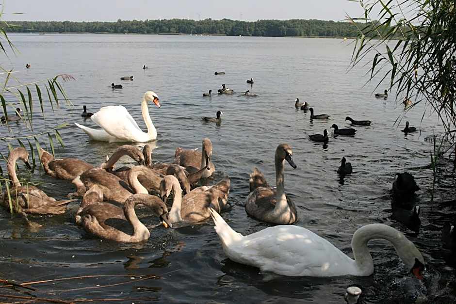 Hotel-Restaurant Alter Krug Kallinchen