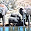 MILIMA Big 5 Safari Lodge