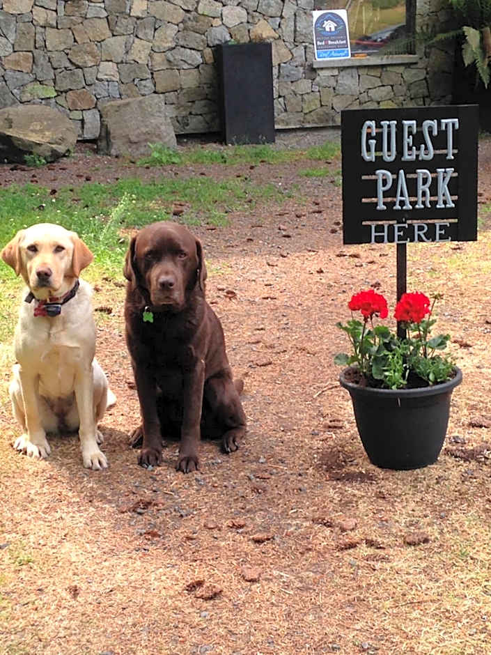 Misty Meadows B and B