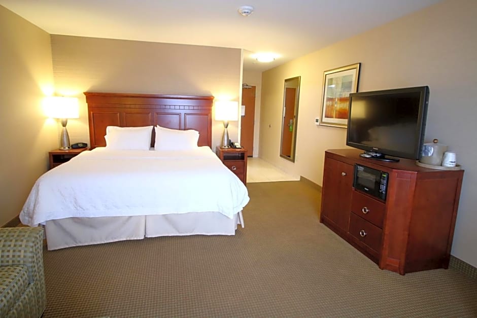 Hampton Inn Detroit/Auburn Hills-North