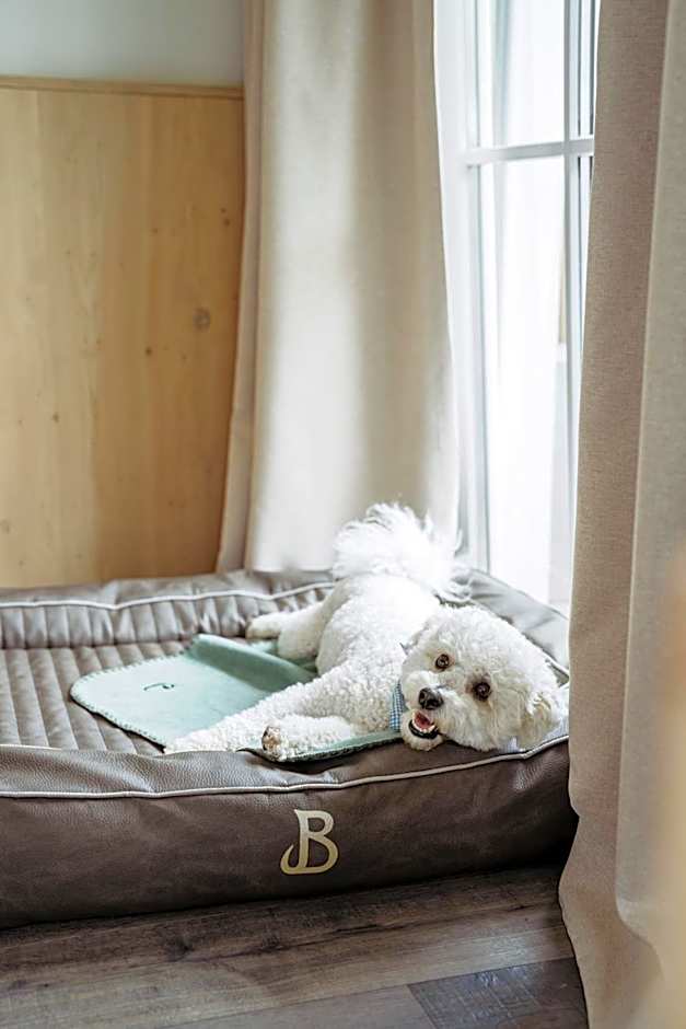 Boutique Hundehotel Bergzeit