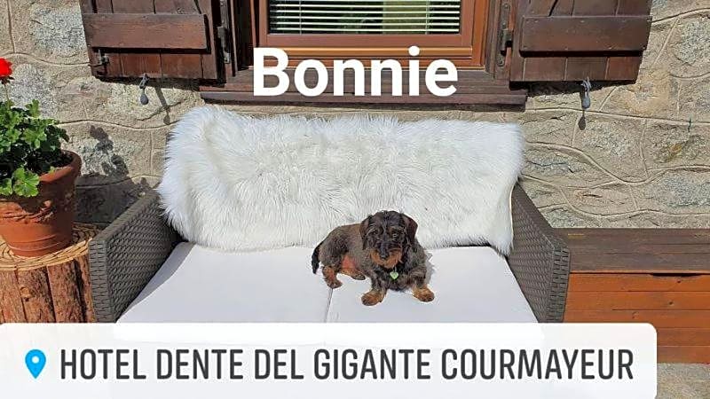 Hotel Dente Del Gigante