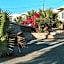 Creta Vitalis