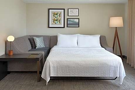 Studio, 1 King Bed with Sofa bed (1 King Bed and 1 Double Sofa Bed)