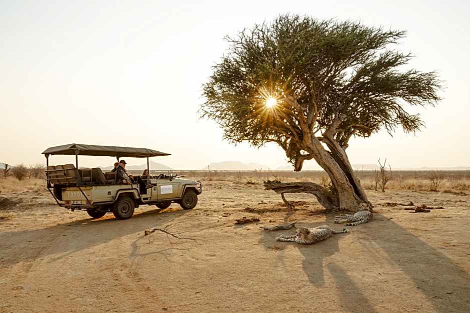 Last Word Madikwe