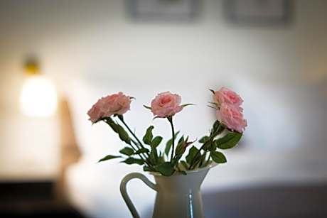 Double Room with Terrace Access