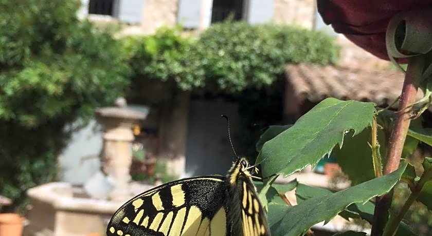 La Figuiere Fontaine de Vaucluse
