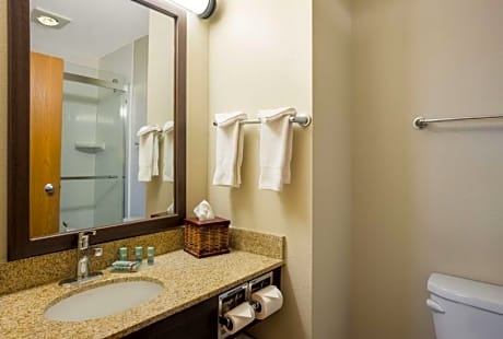 Suite-1 Queen Bed Non-Smoking Sofabed Kitchenette Microwave Fridge Wi-Fi Full Breakfast