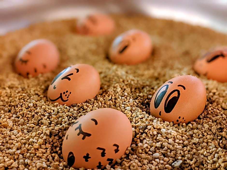 Hotel Brauerei Gasthof Höhn