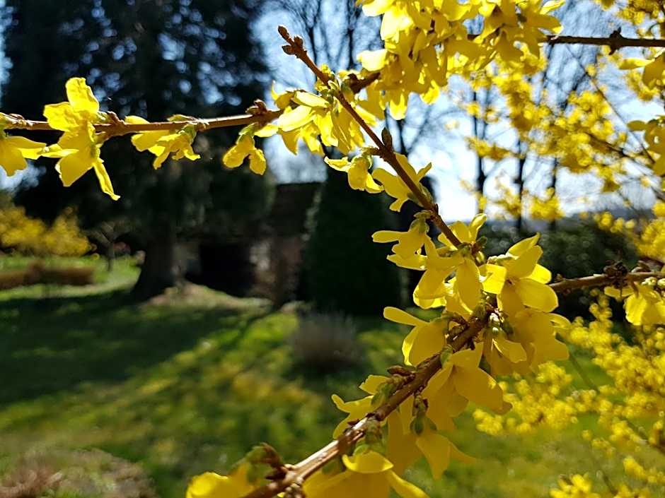 Hotel Landgasthof Hirsch