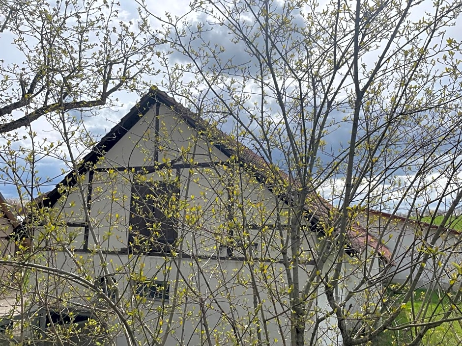 Landgasthof zum SEEHOF