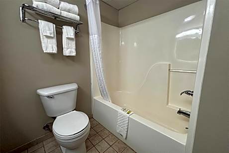 1 King Bed Studio Suite Non-Smoking