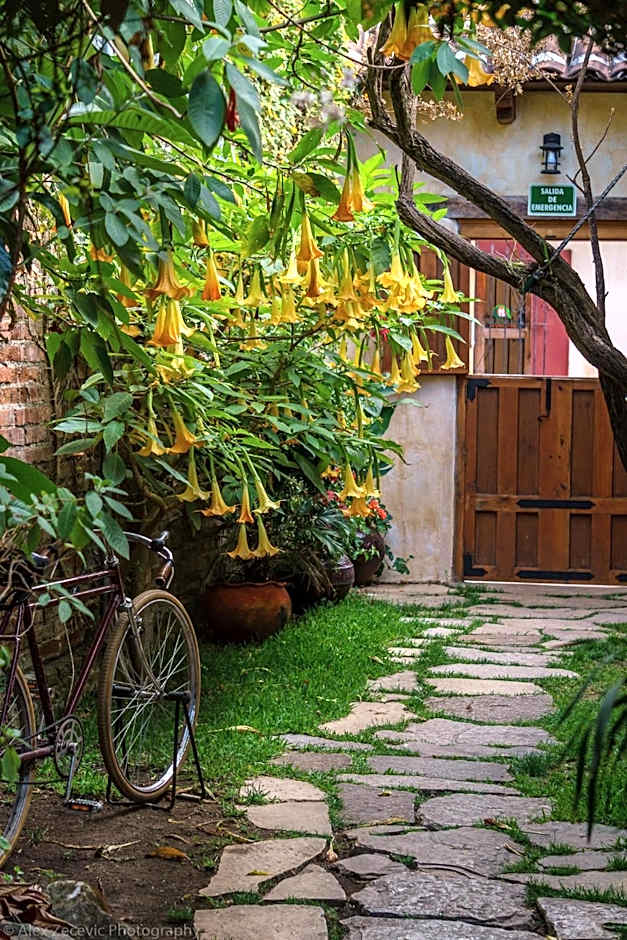 Posada del Abuelito (Hostel)