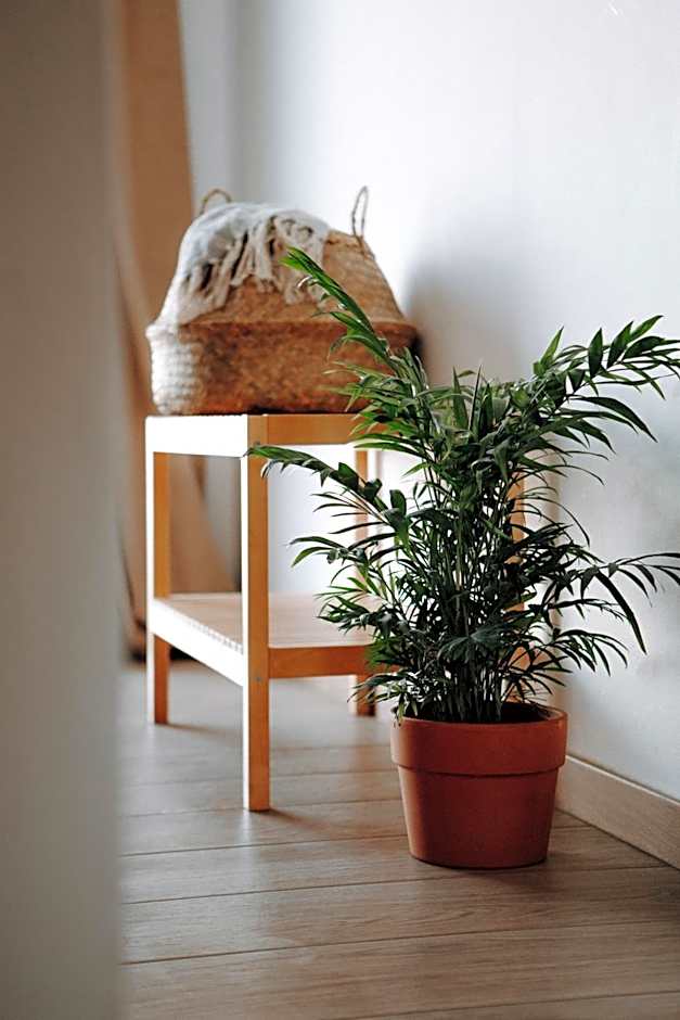 Surf & Yoga Retreats Fuerteventura