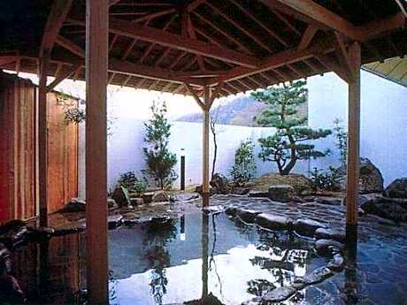 Hamasaka Onsen Totoya
