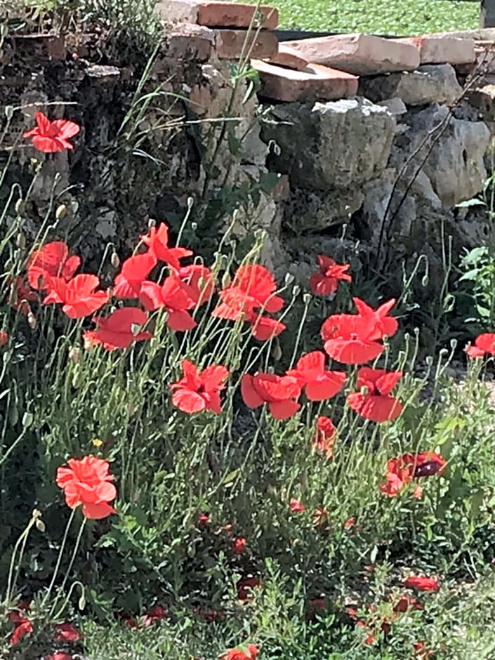 residence la Salamandre kamers