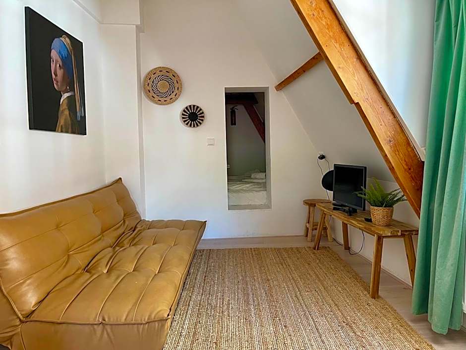 Tiny Private City Rooms Haarlem