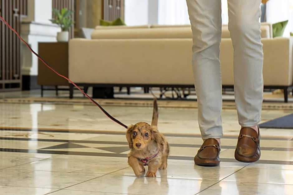 Hilton Pennywell St. Louis at the Arch