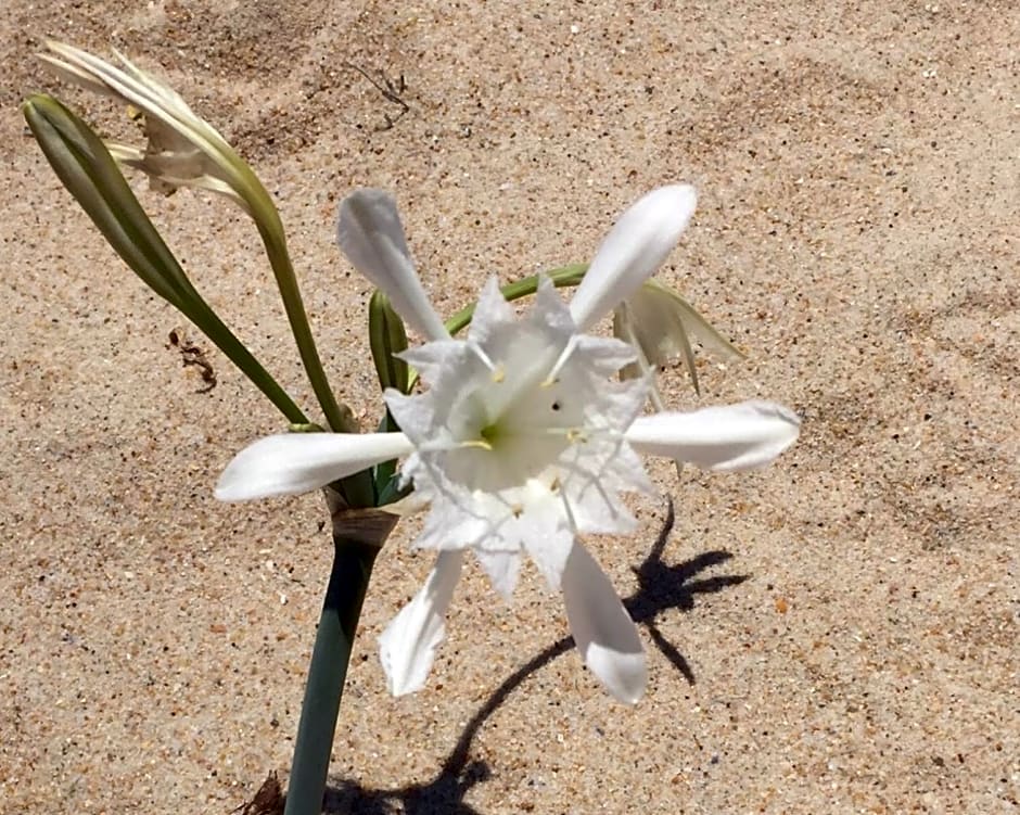 Villa Vista Mar Piscina Suites