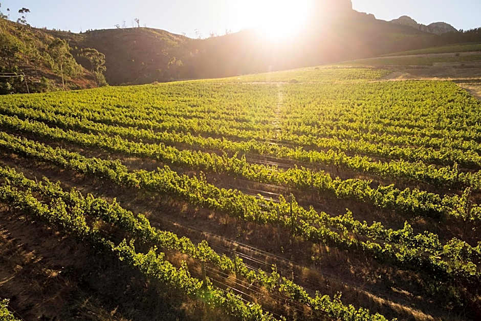 Lanzerac Hotel & Spa