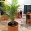 La Cultura Suites - Avenida Quinta