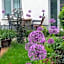 Paleo Finest Serviced Apartments