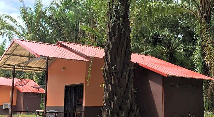 Khao Sok Evergreen House