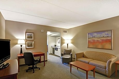 One-Bedroom King Suite - Non-Smoking