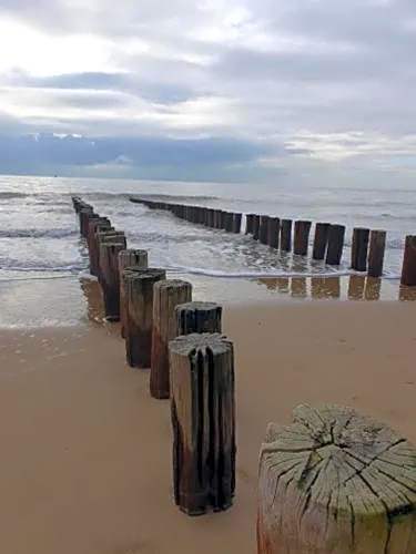 Place to be-Zoutelande