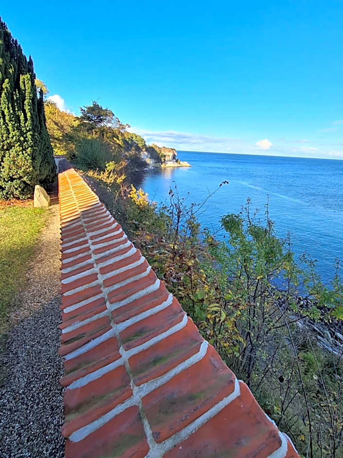 Danhostel Stevns Klint