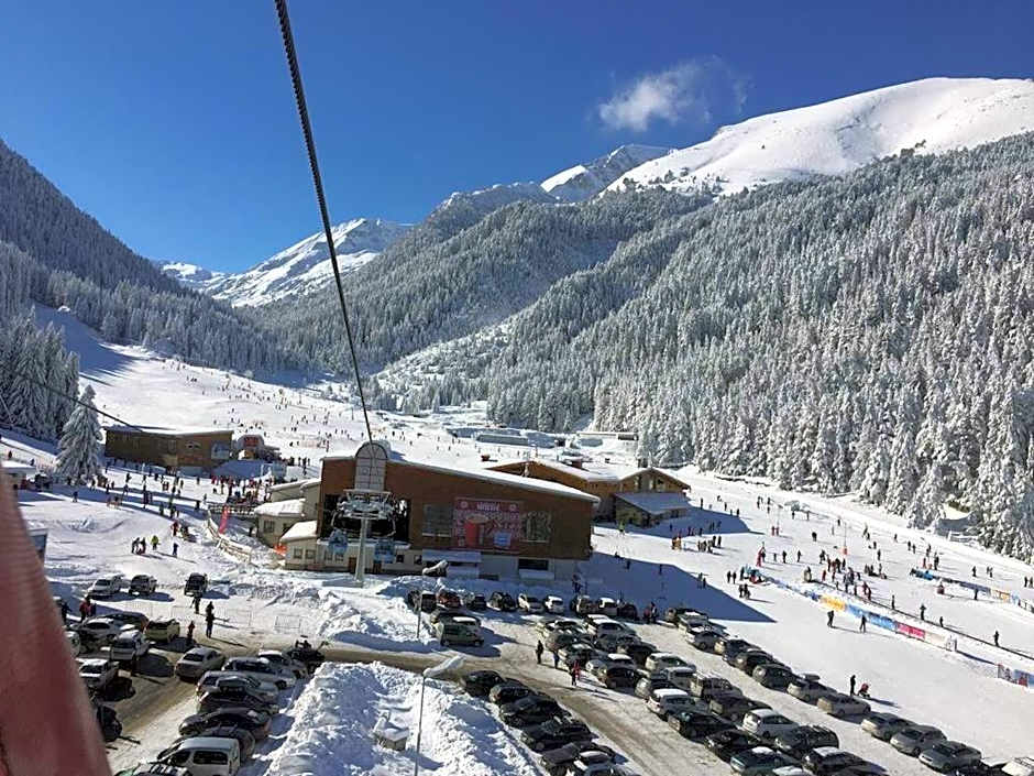 Cedar Lodge 3/4 Apartment Paradise