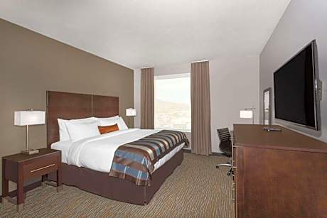 1 King Bed Non-Smoking