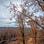 The Lodges at Table Rock by Capital Vacations