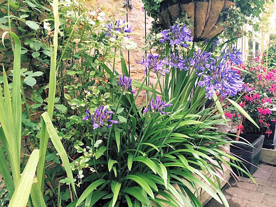 The Ormond At Tetbury