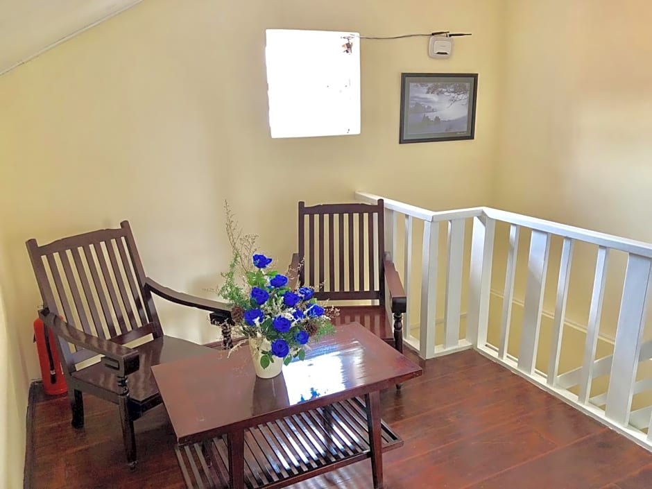 Pine Tree House Da Lat by ZUZU