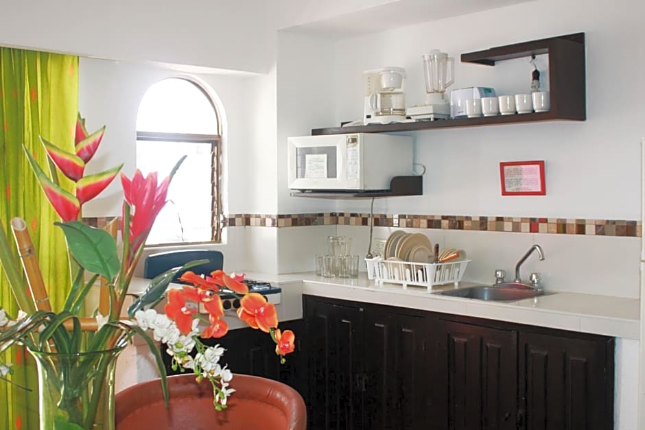 Suites Plaza del Rio