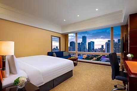 Special Promotion - Deluxe City View Room