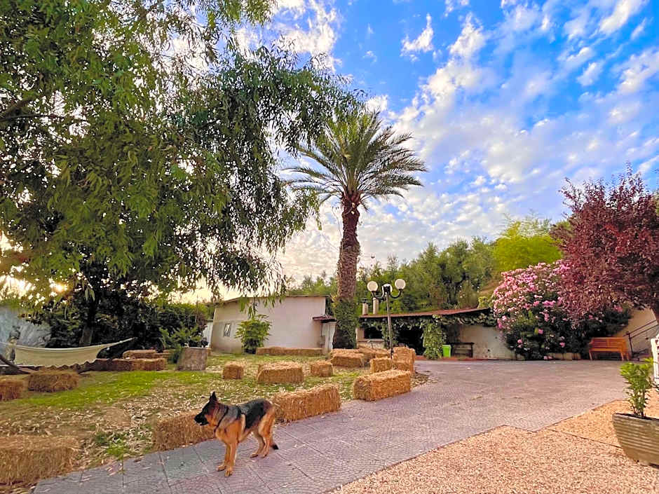 Donna Vittori - Borgo Agricolo