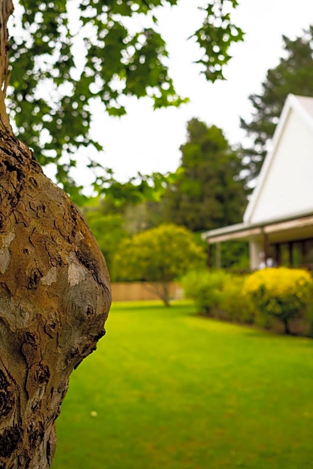 BWHALE guest house B&B